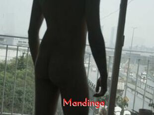 Mandinga