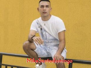 MikeSantodomingo