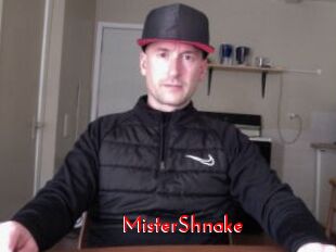 MisterShnake