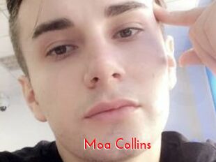 Moa_Collins