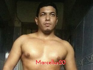 Marcellus20