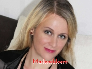 Marlenebloem