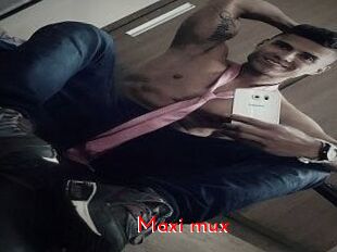 Maxi_mux