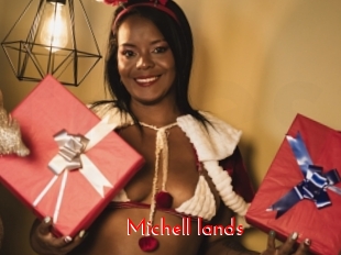 Michell_lands