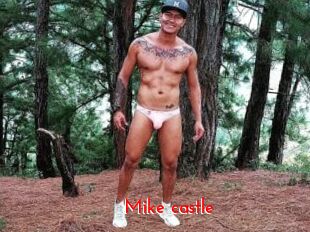 Mike_castle