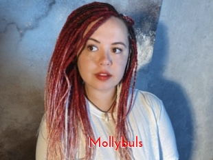 Mollybuls