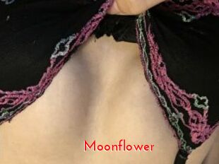 Moonflower