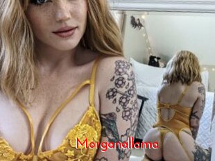 Morganallama