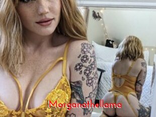 Morganathellama