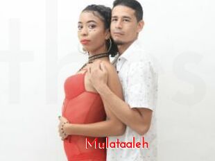Mulataaleh