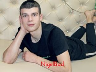 NigelBud