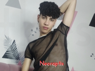 Neoraptis