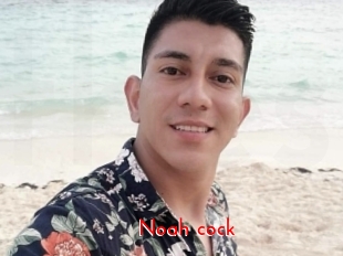 Noah_cock