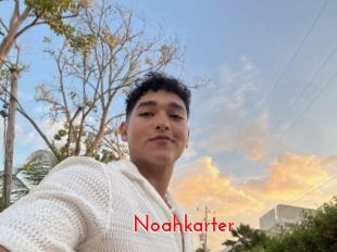 Noahkarter