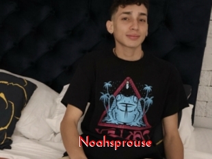 Noahsprouse