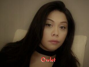 _Owlet_