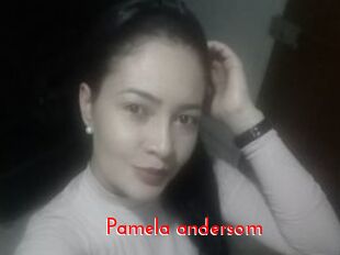 Pamela_andersom