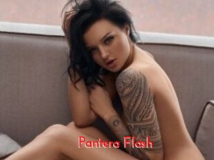 Pantera_Flash