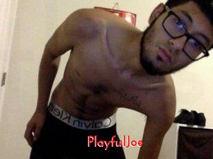 PlayfulJoe