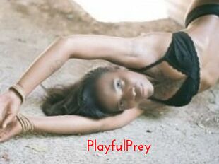 PlayfulPrey