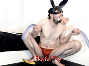 Playful_Toy