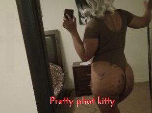 Pretty_phat_kitty