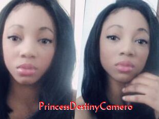 PrincessDestinyCamero