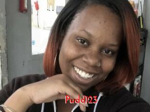 Pudd123