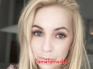 Pamelamodel