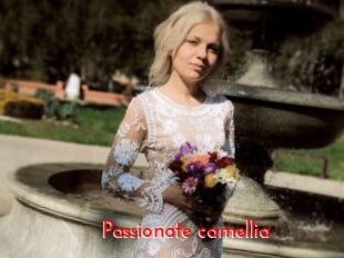 Passionate_camellia