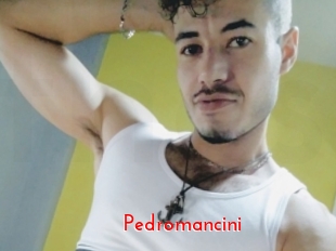 Pedromancini