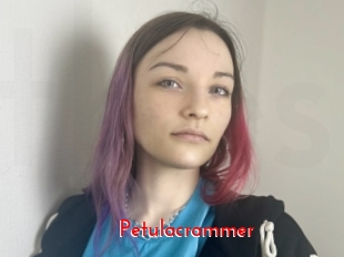 Petulacrammer