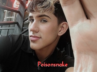 Poisonsnake