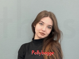 Pollybagge