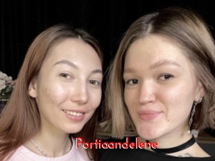 Portiaandelene