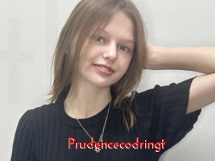 Prudencecodringt