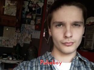 Pulseboy