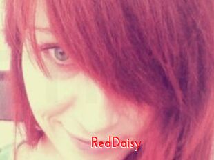 RedDaisy