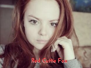 Red_Cuttie_Fox