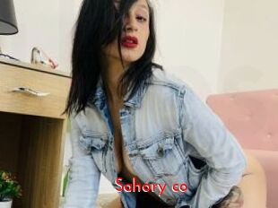 Sahory_co