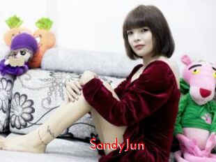 SandyJun