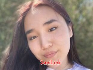 SaniLink