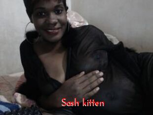 Sash_kitten