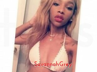 Savannah_Grey