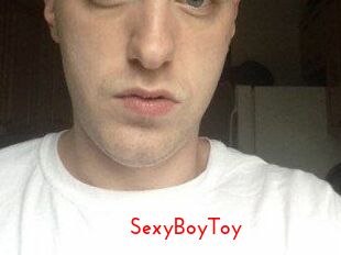 SexyBoyToy