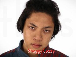 ShaggyCozzy