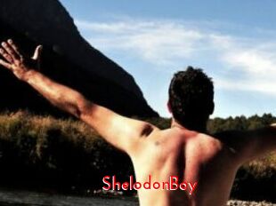 ShelodonBoy