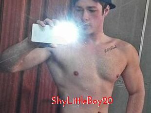 ShyLittleBoy20