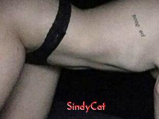 SindyCat