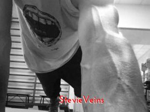 StevieVeins